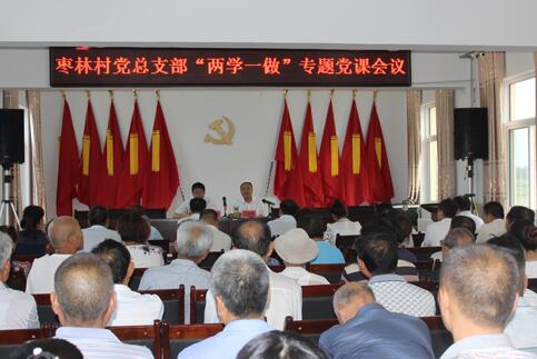 岐山县委常委、统战部长王振峰在枣林镇讲党课